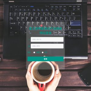 基于SpringBoot的星之语明星周边产品销售网站的设计与实现