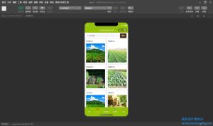 基于SpringBoot的云匹面粉直供微信小程序的设计与实现 - 图片 2
